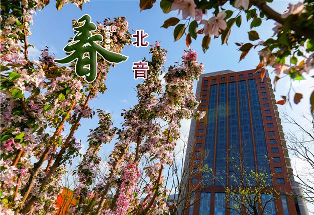 北美女插逼逼影视网音春色